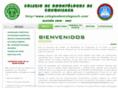 colegioodontologosch.com