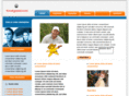 knokgaard.com