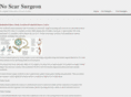 noscarsurgeon.com
