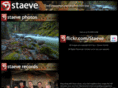 staeve.com