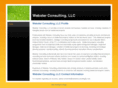 websterconsultingllc.com