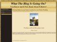 whattheblogisgoingon.com