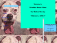 drunkenboxer.com