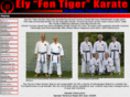 fentigerkarate.co.uk