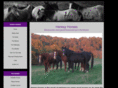 heresyhorses.com