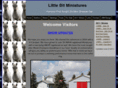 littlebitminiatures.com