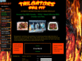 tailgatorsbbqpit.com