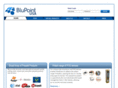 blupointusa.com