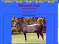 millwoodponies.com