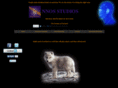 nnosstudios.com