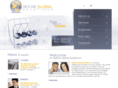 skylinetechsolutions.com