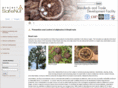 stdf-safenutproject.com