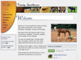 trinitysporthorses.com