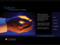 brilliancetraining.com