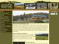 electricmountainlodge.com