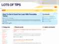 lotsoftips.net