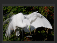 photosbygerhard.com