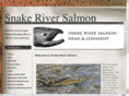 snakeriversalmon.com