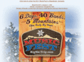 themusicfest.com