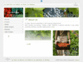 greenlandjo.com