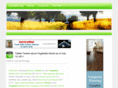raimon.net