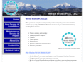 wwp-co.com