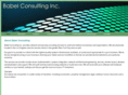 babelconsulting.com