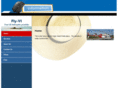 fly-vi.com