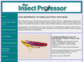 insectprofessor.com