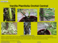 vanilla-planifolia.com