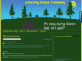 amazinggrasscompany.com