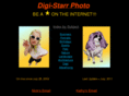 digi-starr.com