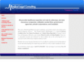 macdougallconsulting.net