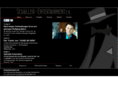 schaller-entertainment.com