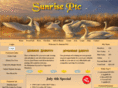 sunriseptc.com