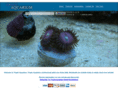 tropicaquarium.com
