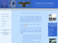 aviation-consultancy.com
