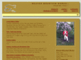 beaver-mountain-works.com