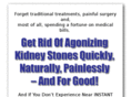 bestkidneystonestreatment.com