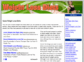 dietinganddiets.com
