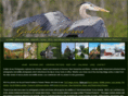 goldenacresphotography.com