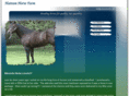 hattumhorsefarm.com