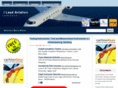 ileadaviation.co.za