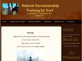 horsetrainingbycurt.com