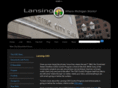 lansingcso.com