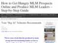 mlm-prospects.net