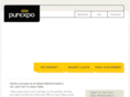 pureexpo.biz