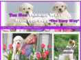 thedogtrainingways.com