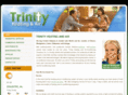 calltrinity.com