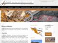 firstmexicangoldcorp.com